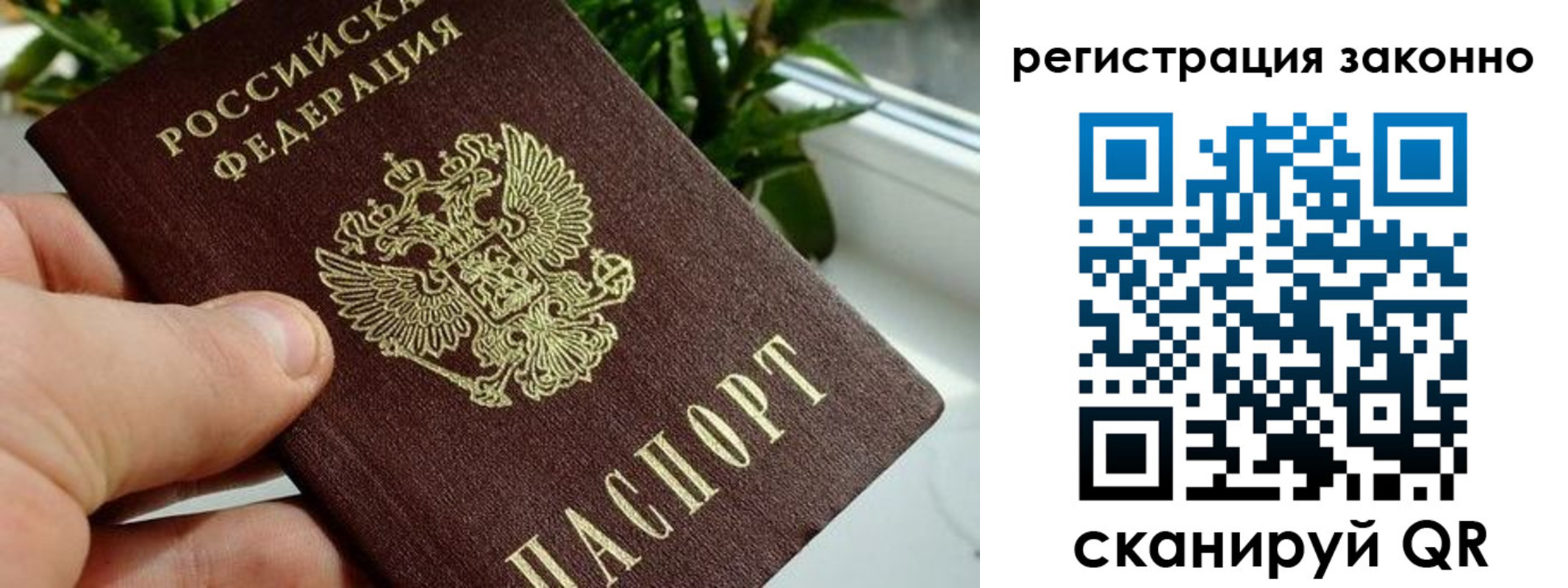 прописка гарантия в Касли